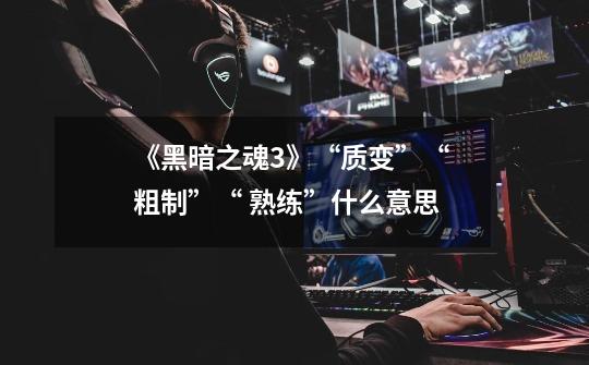 《黑暗之魂3》“质变”“ 粗制”“ 熟练”什么意思-第1张-游戏信息-龙启网