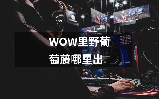 WOW里野葡萄藤哪里出-第1张-游戏信息-龙启网
