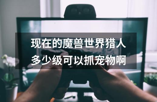 现在的魔兽世界猎人多少级可以抓宠物啊-第1张-游戏信息-龙启网