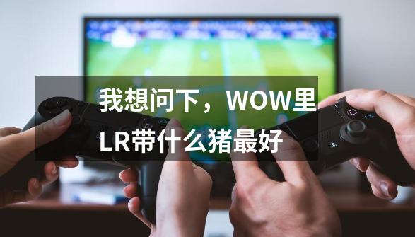 我想问下,WOW里LR带什么猪最好-第1张-游戏信息-龙启网