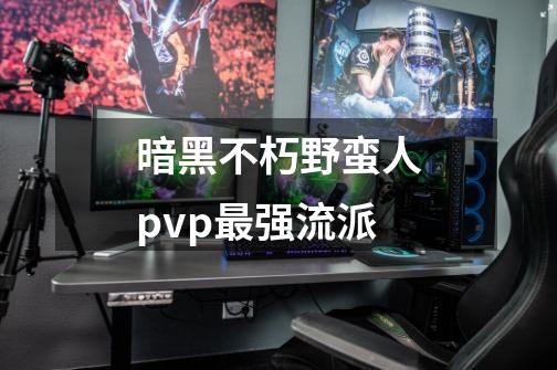 暗黑不朽野蛮人pvp最强流派-第1张-游戏信息-龙启网
