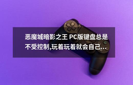 恶魔城暗影之王 PC版键盘总是不受控制,玩着玩着就会自己出现各种动作-第1张-游戏信息-龙启网