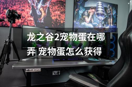 龙之谷2宠物蛋在哪弄 宠物蛋怎么获得-第1张-游戏信息-龙启网