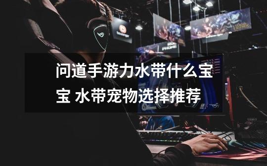 问道手游力水带什么宝宝 水带宠物选择推荐-第1张-游戏信息-龙启网