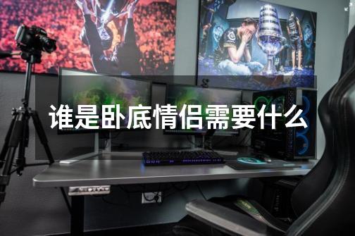 谁是卧底情侣需要什么-第1张-游戏信息-龙启网
