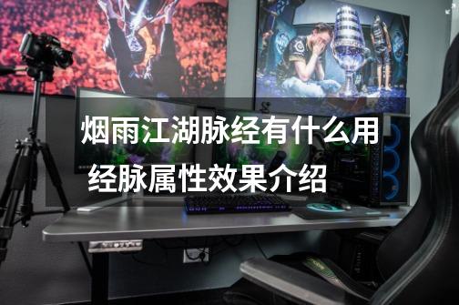 烟雨江湖脉经有什么用 经脉属性效果介绍-第1张-游戏信息-龙启网
