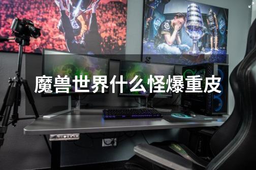 魔兽世界什么怪爆重皮-第1张-游戏信息-龙启网