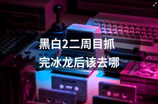 黑白2二周目抓完冰龙后该去哪-第1张-游戏信息-龙启网