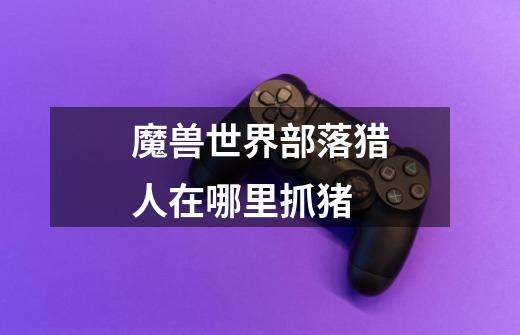 魔兽世界部落猎人在哪里抓猪-第1张-游戏信息-龙启网