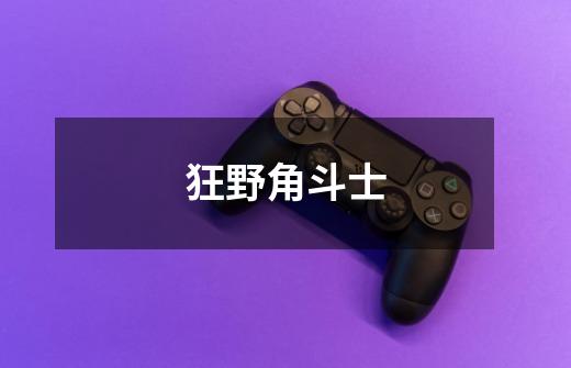 狂野角斗士-第1张-游戏信息-龙启网