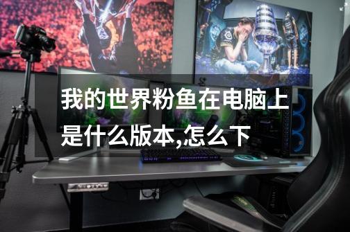 我的世界粉鱼在电脑上是什么版本,怎么下-第1张-游戏信息-龙启网
