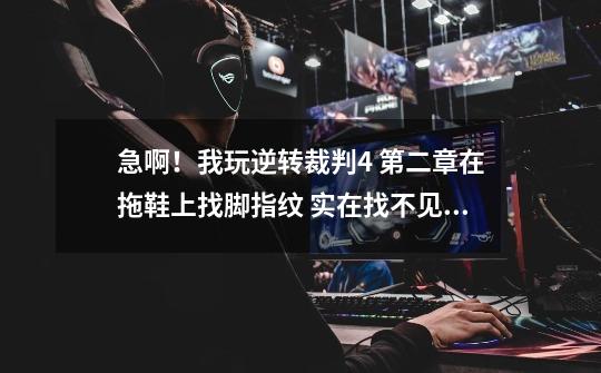 急啊!我玩逆转裁判4 第二章在拖鞋上找脚指纹 实在找不见在哪调查 拜托哪位给我截张图告一下-第1张-游戏信息-龙启网