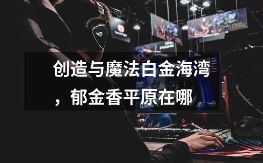 创造与魔法白金海湾,郁金香平原在哪-第1张-游戏信息-龙启网