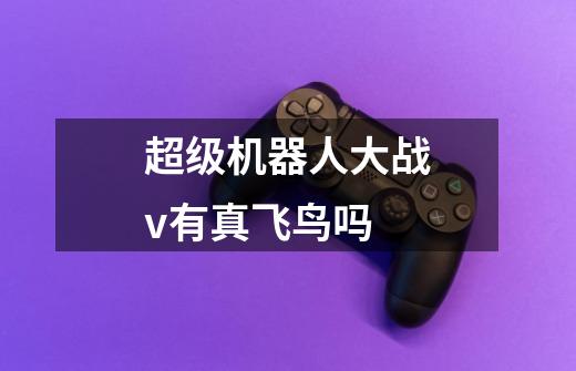 超级机器人大战v有真飞鸟吗-第1张-游戏信息-龙启网