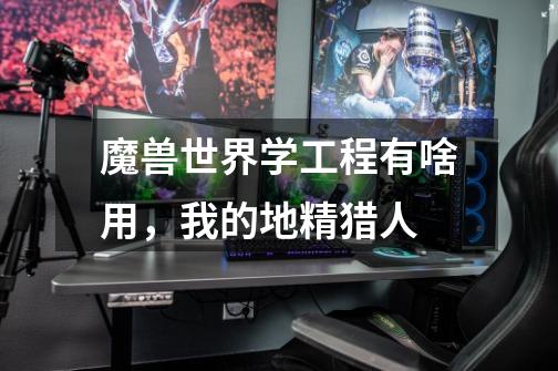 魔兽世界学工程有啥用,我的地精猎人-第1张-游戏信息-龙启网