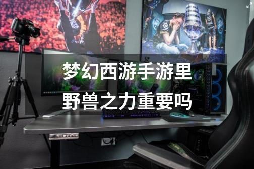 梦幻西游手游里野兽之力重要吗-第1张-游戏信息-龙启网