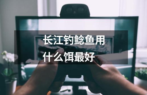 长江钓鲶鱼用什么饵最好-第1张-游戏信息-龙启网