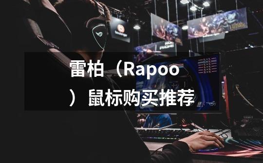 雷柏(Rapoo)鼠标购买推荐-第1张-游戏信息-龙启网