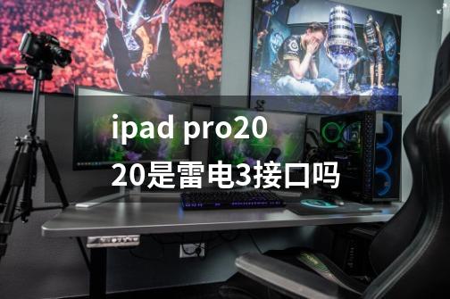 ipad pro2020是雷电3接口吗-第1张-游戏信息-龙启网