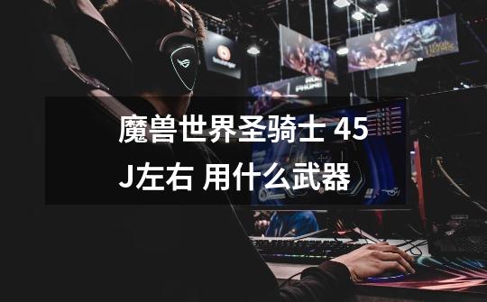 魔兽世界圣骑士 45J左右 用什么武器-第1张-游戏信息-龙启网
