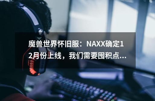 魔兽世界怀旧服:NAXX确定12月份上线,我们需要囤积点啥-第1张-游戏信息-龙启网