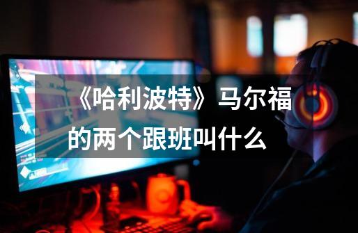 《哈利波特》马尔福的两个跟班叫什么-第1张-游戏信息-龙启网