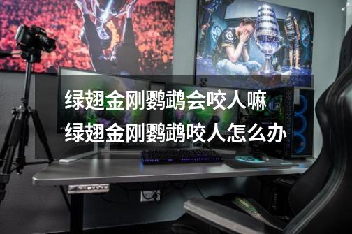 绿翅金刚鹦鹉会咬人嘛 绿翅金刚鹦鹉咬人怎么办-第1张-游戏信息-龙启网