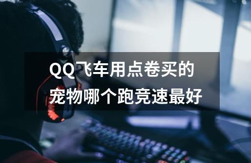 QQ飞车用点卷买的宠物哪个跑竞速最好-第1张-游戏信息-龙启网
