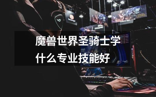 魔兽世界圣骑士学什么专业技能好-第1张-游戏信息-龙启网