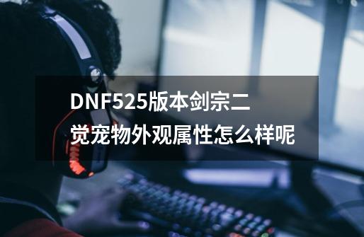 DNF5.25版本剑宗二觉宠物外观属性怎么样呢-第1张-游戏信息-龙启网