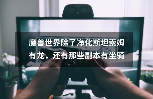 魔兽世界除了净化斯坦索姆有龙,还有那些副本有坐骑-第1张-游戏信息-龙启网