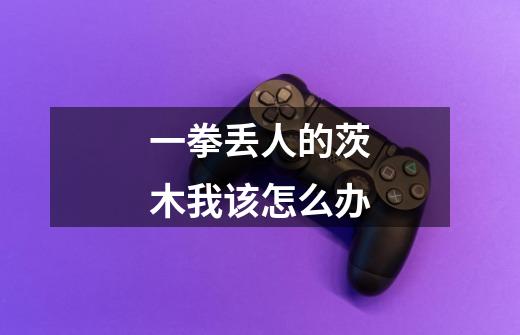 一拳丢人的茨木我该怎么办-第1张-游戏信息-龙启网