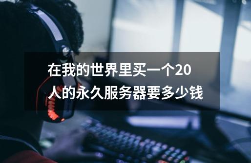 在我的世界里买一个20人的永久服务器要多少钱-第1张-游戏信息-龙启网