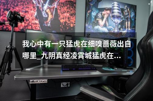 我心中有一只猛虎在细嗅蔷薇出自哪里_九阴真经凌霄城猛虎在哪里-第1张-游戏信息-龙启网