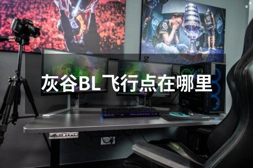 灰谷BL飞行点在哪里-第1张-游戏信息-龙启网