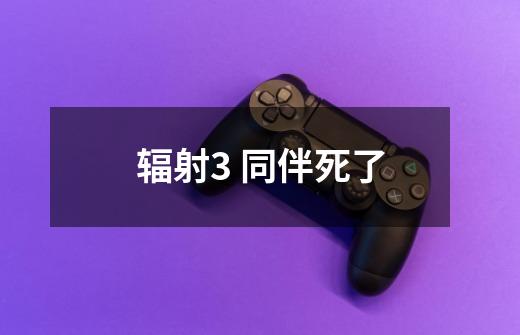 辐射3 同伴死了-第1张-游戏信息-龙启网