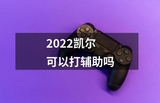 2022凯尔可以打辅助吗-第1张-游戏信息-龙启网