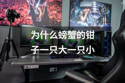 为什么螃蟹的钳子一只大一只小-第1张-游戏信息-龙启网