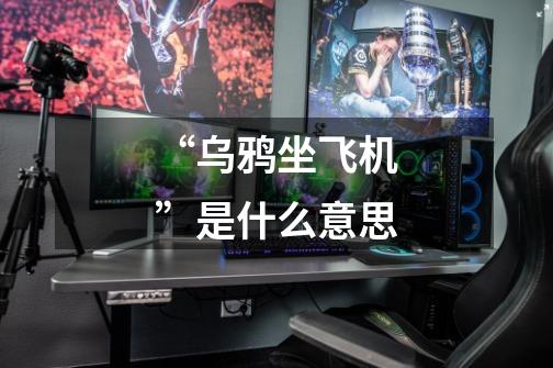 “乌鸦坐飞机”是什么意思-第1张-游戏信息-龙启网