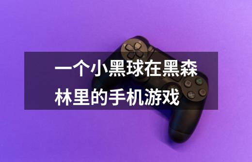 一个小黑球在黑森林里的手机游戏-第1张-游戏信息-龙启网
