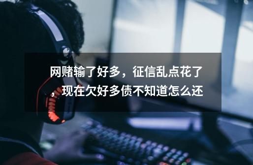 网赌输了好多,征信乱点花了,现在欠好多债不知道怎么还-第1张-游戏信息-龙启网