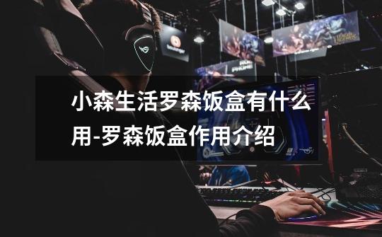 小森生活罗森饭盒有什么用-罗森饭盒作用介绍-第1张-游戏信息-龙启网