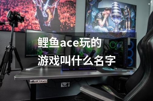 鲤鱼ace玩的游戏叫什么名字-第1张-游戏信息-龙启网
