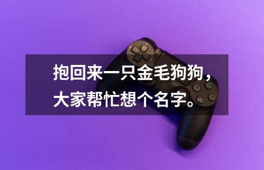 抱回来一只金毛狗狗，大家帮忙想个名字。-第1张-游戏信息-龙启网