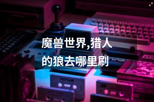 魔兽世界,猎人的狼去哪里刷-第1张-游戏信息-龙启网