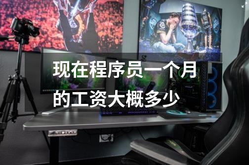 现在程序员一个月的工资大概多少-第1张-游戏信息-龙启网