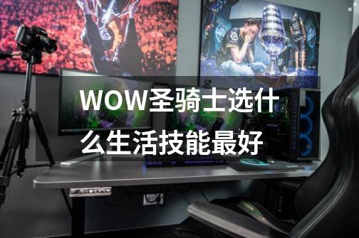 WOW圣骑士选什么生活技能最好-第1张-游戏信息-龙启网