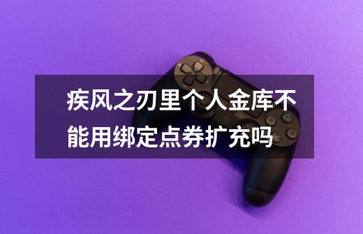 疾风之刃里个人金库不能用绑定点券扩充吗-第1张-游戏信息-龙启网
