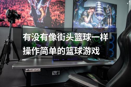 有没有像街头篮球一样操作简单的篮球游戏-第1张-游戏信息-龙启网