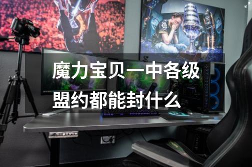 魔力宝贝一中各级盟约都能封什么-第1张-游戏信息-龙启网